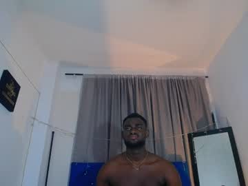 _black_stallion