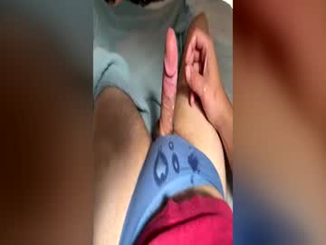 bibro288