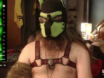 kinkywolf87