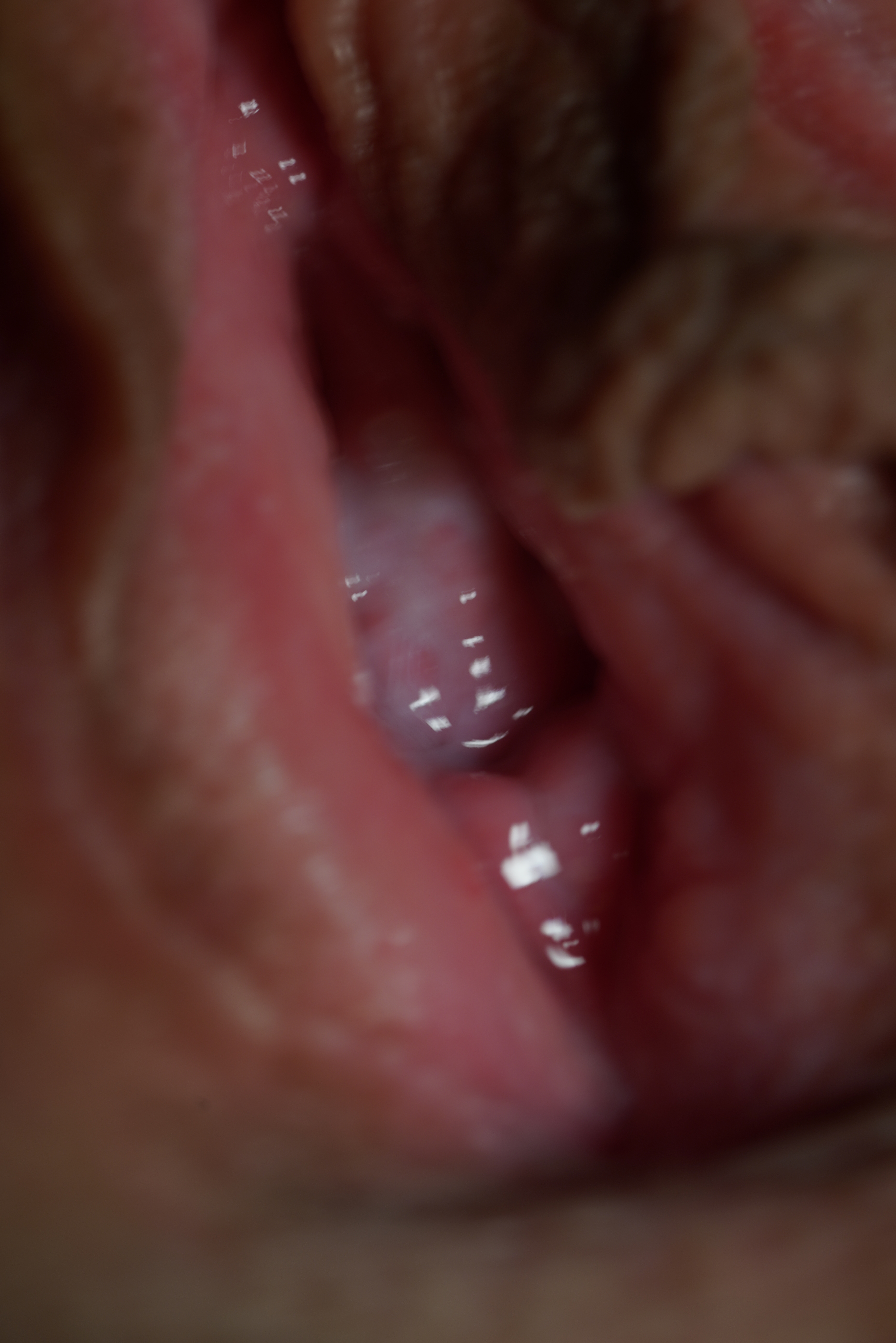 Creampie cunt — 21