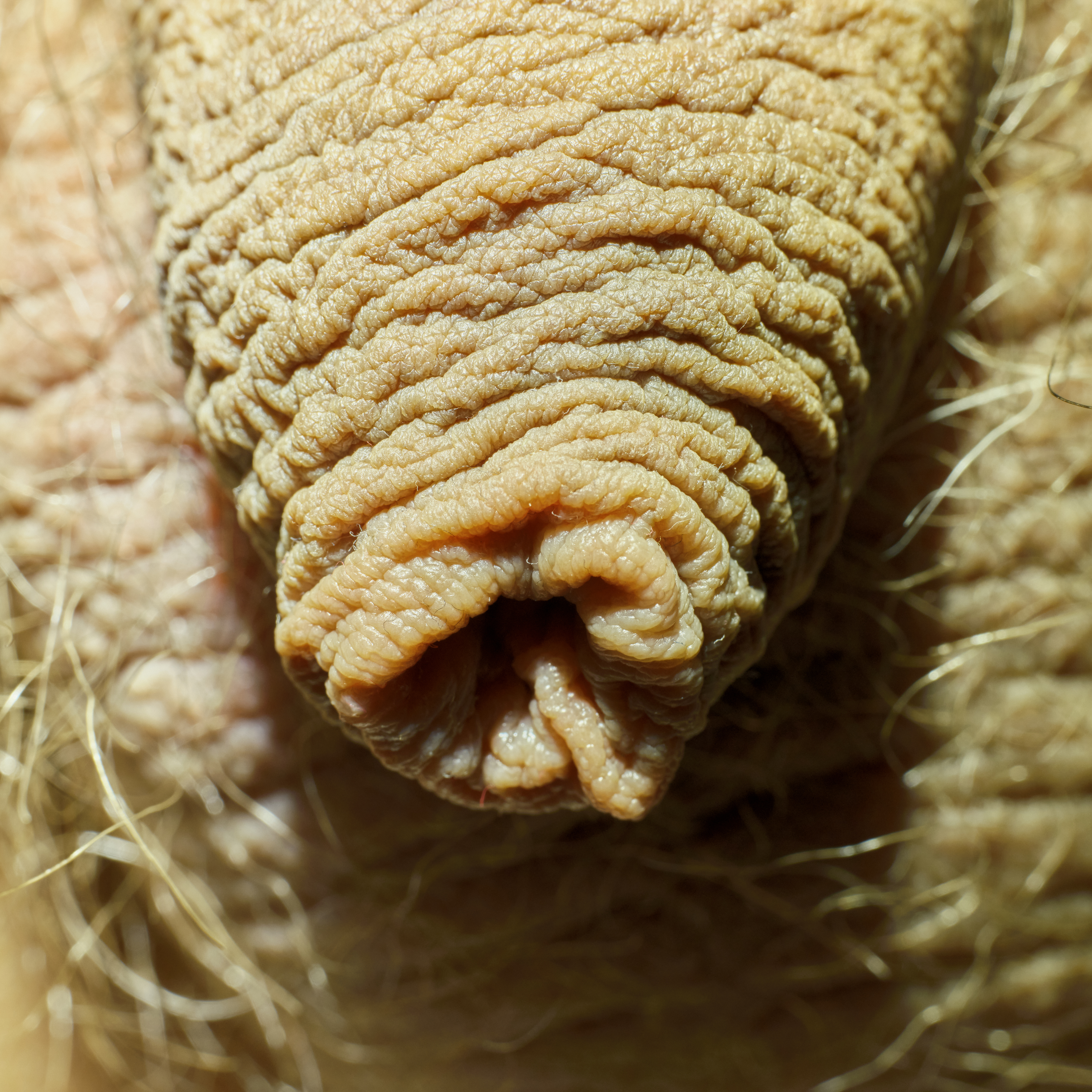 playing with my foreskin — 28
