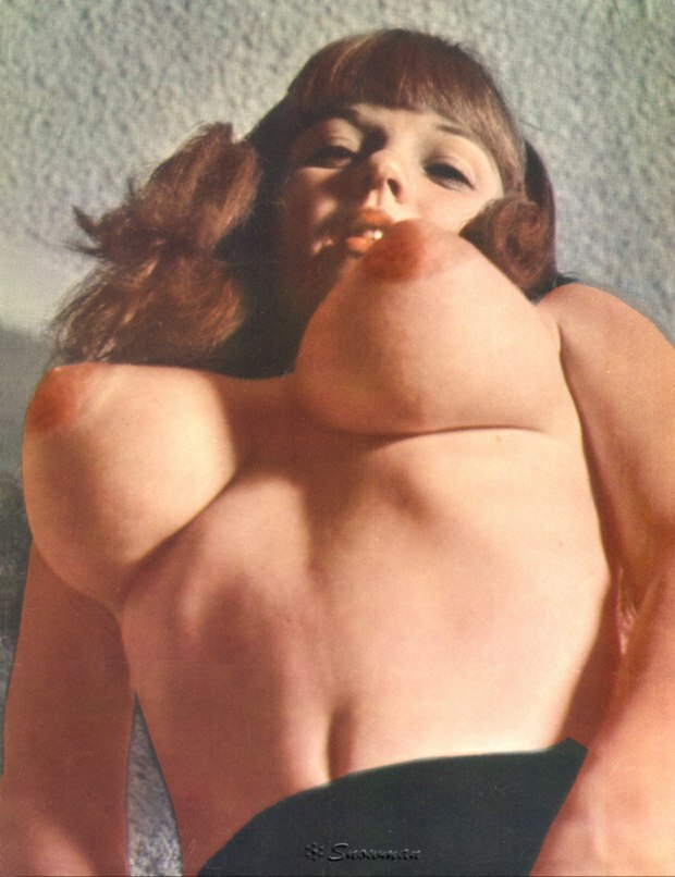 More Vintage Breasts to Suck — 52