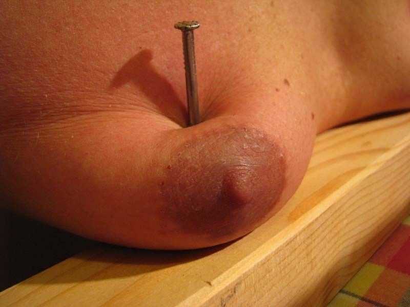 z-bdsm — 48